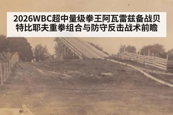 2026WBC超中量级拳王阿瓦雷兹备战贝特比耶夫重拳组合与防守反击战术前瞻 - jiuyou game