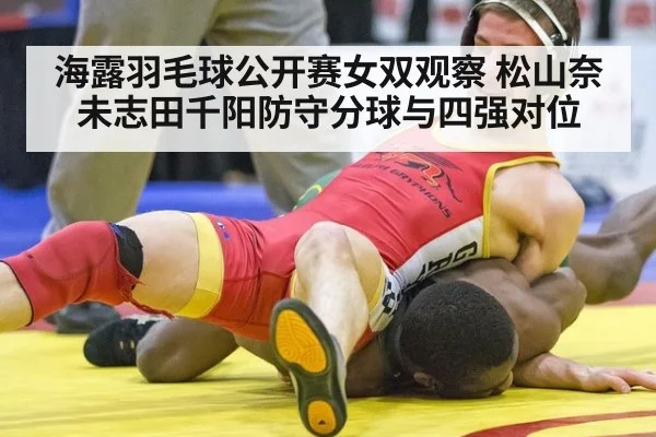 海露羽毛球公开赛女双观察 松山奈未志田千阳防守分球与四强对位 - nine game