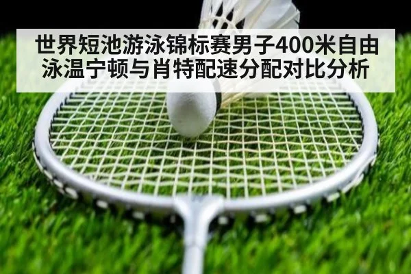 世界短池游泳锦标赛男子400米自由泳温宁顿与肖特配速分配对比分析 - jiuyou game